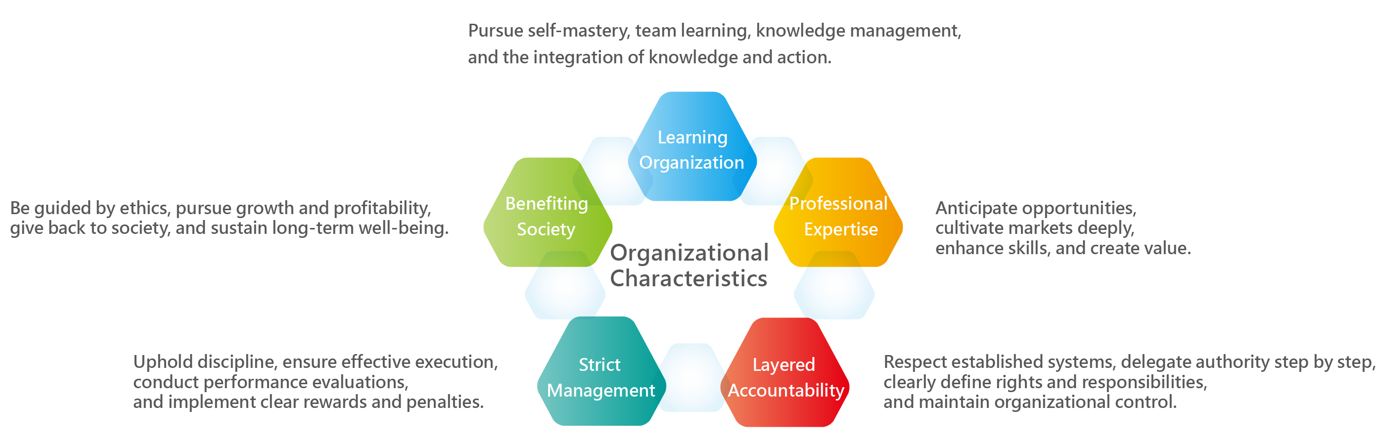 Organizational Characteristics for a Well-Structured Organization
